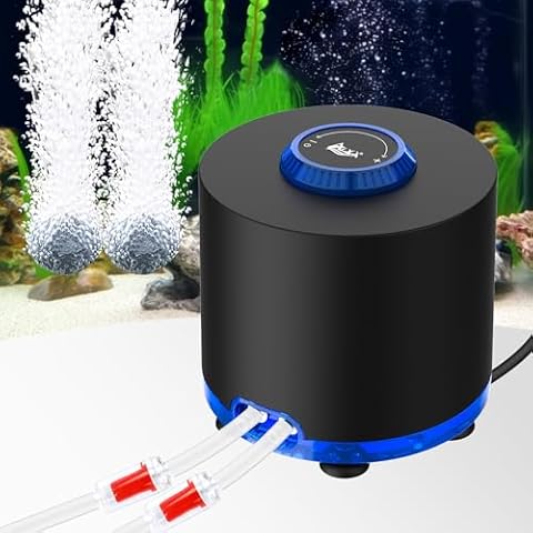 AQQA thumbnail