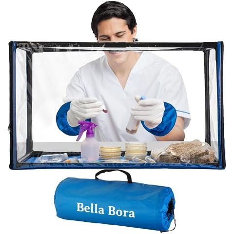 Bella Bora thumbnail