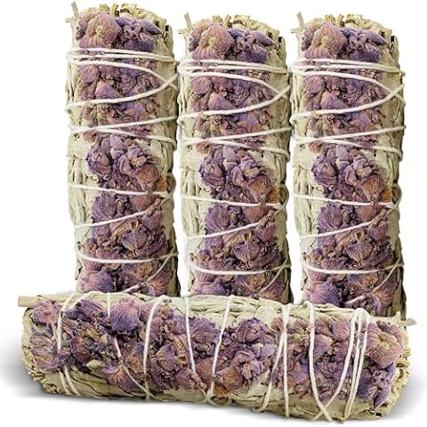 BHOLI SAGE PLUS feature image