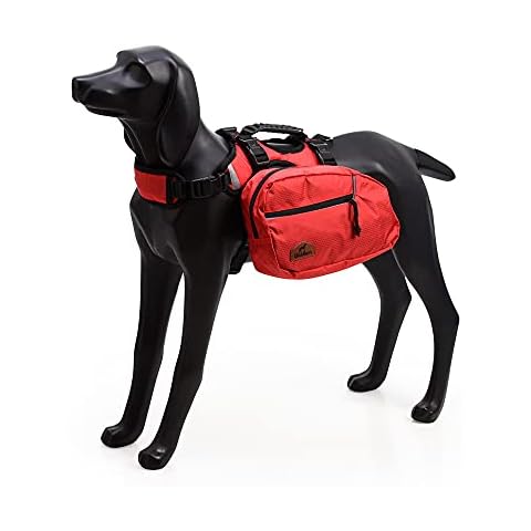 BLACKDOGGY thumbnail