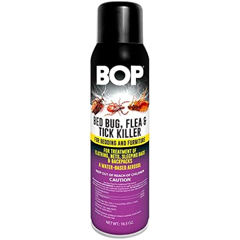 Bop feature image