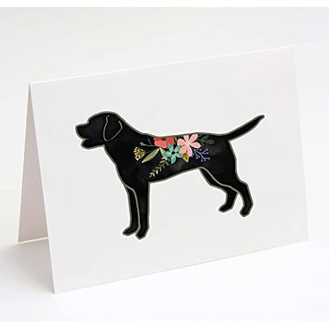Breed Collection thumbnail