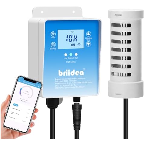 Briidea thumbnail
