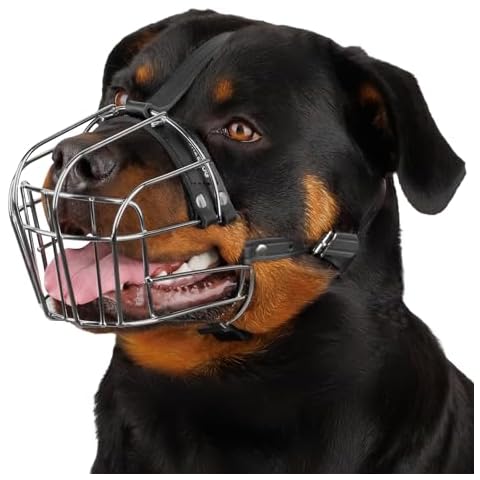 BRONZEDOG thumbnail