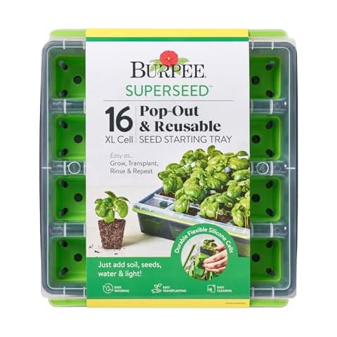 Burpee thumbnail