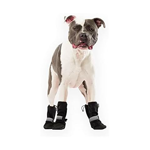 Canada Pooch thumbnail