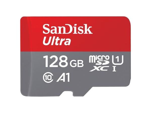Cartes micro SD Vignette