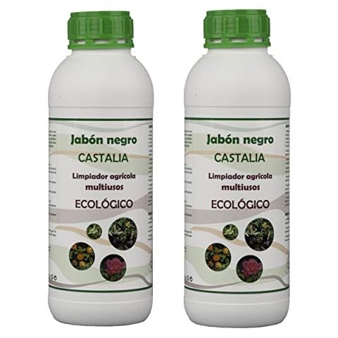 CASTALIA thumbnail