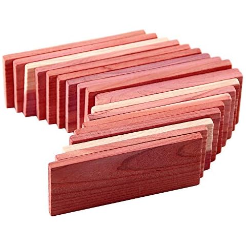 Cedar Space thumbnail