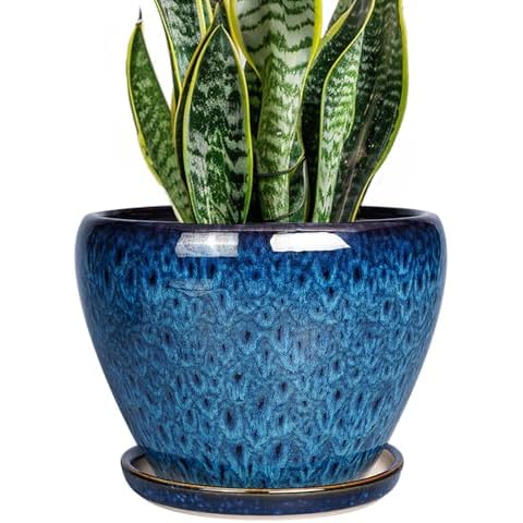 Ceramicfor thumbnail