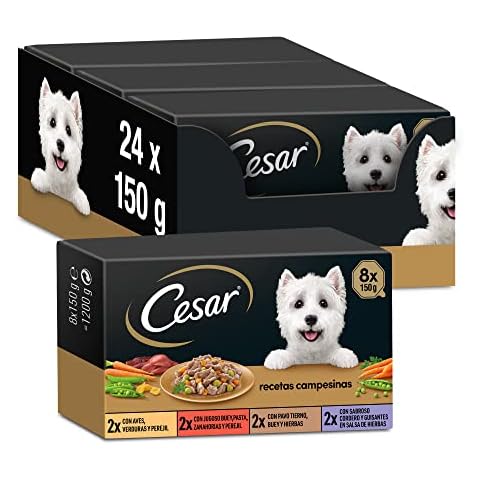 Cesar thumbnail