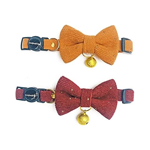Cognatio thumbnail