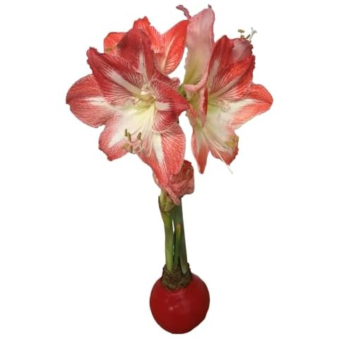 Daylily Nursery thumbnail