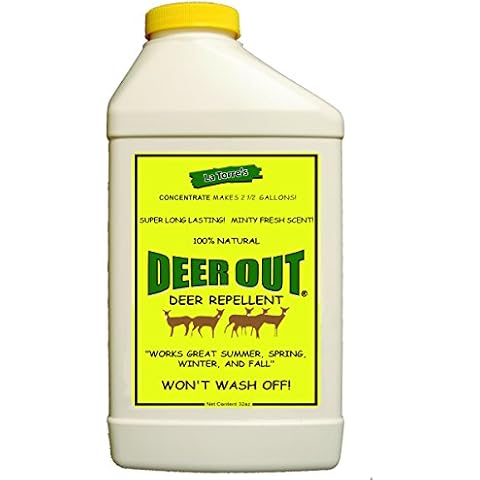 Deer Out thumbnail