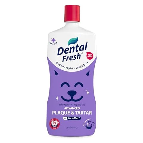 Dental Fresh feature image