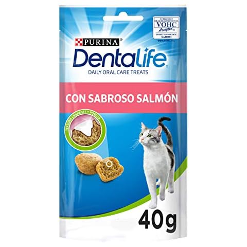 Dentalife thumbnail