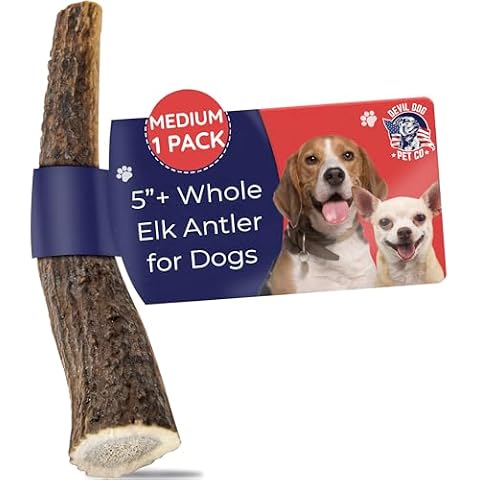 Devil Dog Pet Co thumbnail