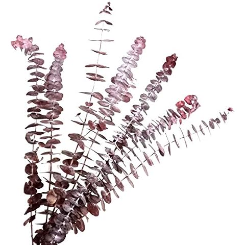 Dongliflower Arts thumbnail
