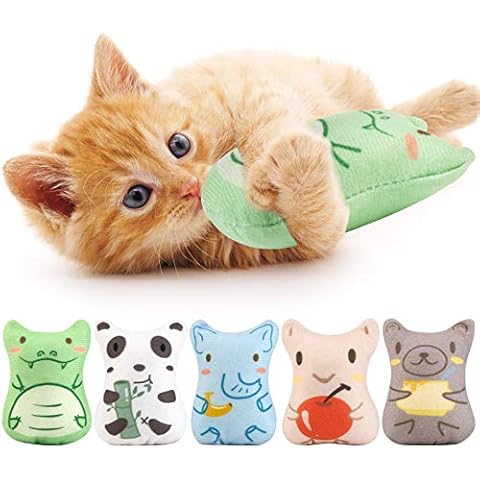 Dorakitten thumbnail