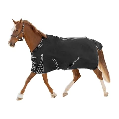 Equinavia thumbnail