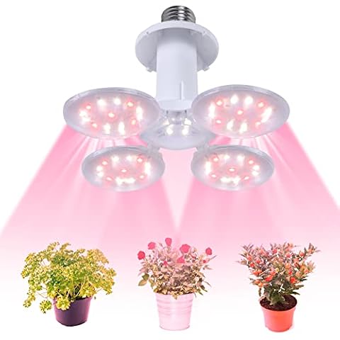 Esbaybulbs thumbnail