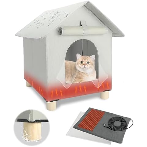 FHTONGE feature image