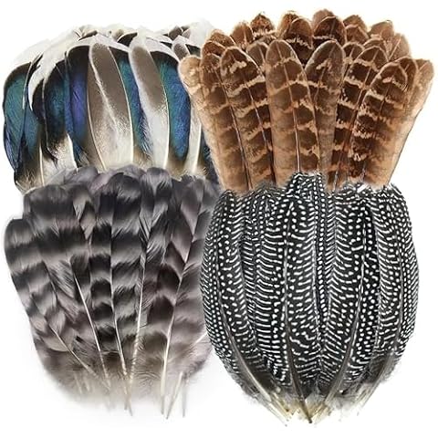 Flying Feathers thumbnail