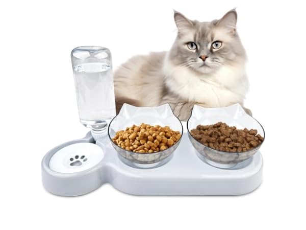 Gamelles pour chats Vignette