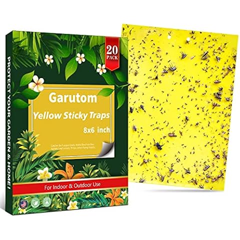 Garutom feature image