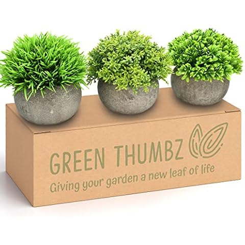 Green Thumbz thumbnail