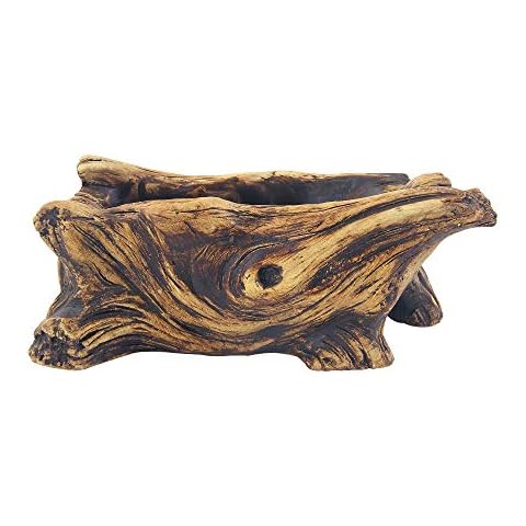 Happy Bonsai thumbnail