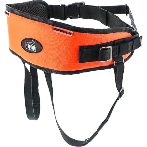 I-Dog thumbnail