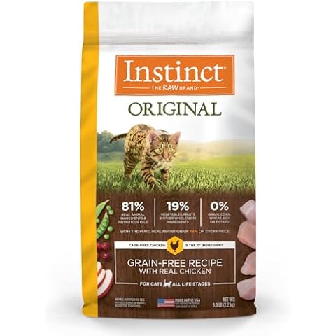 Instinct thumbnail