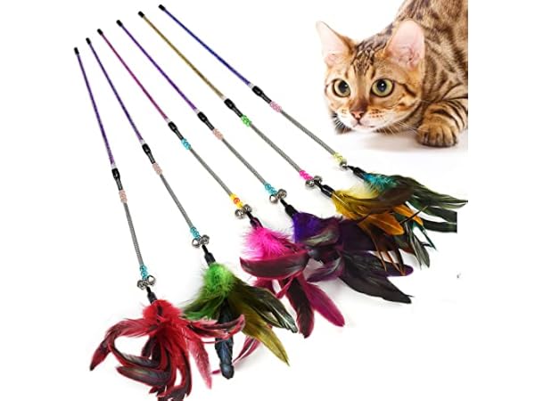 Jouets à plumes pour chats Vignette