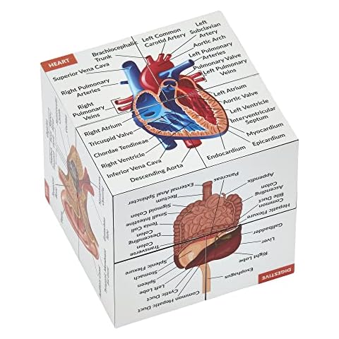 Kits Of Medicine thumbnail
