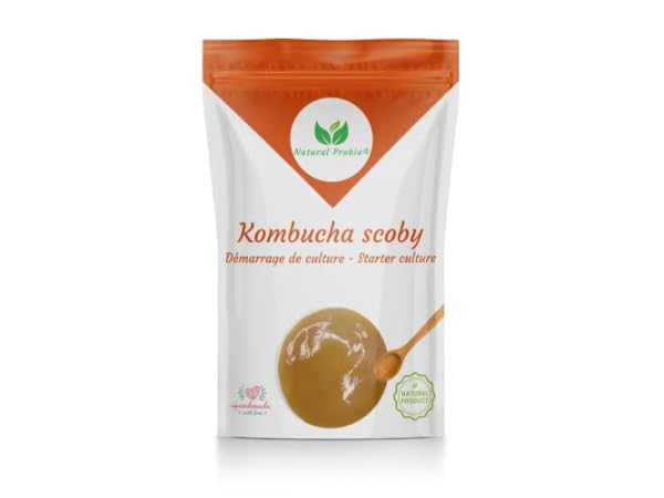 Kombucha thumbnail