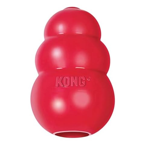 KONG thumbnail