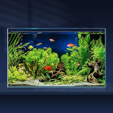 LAQUAL feature image