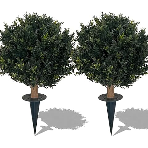 LYTREWPLANT thumbnail