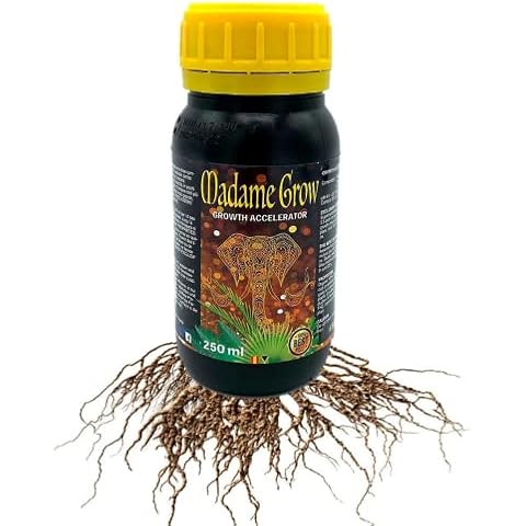 MADAME GROW thumbnail
