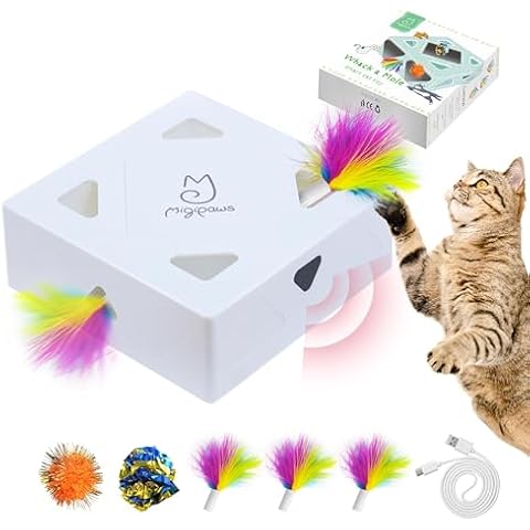 Migipaws feature image