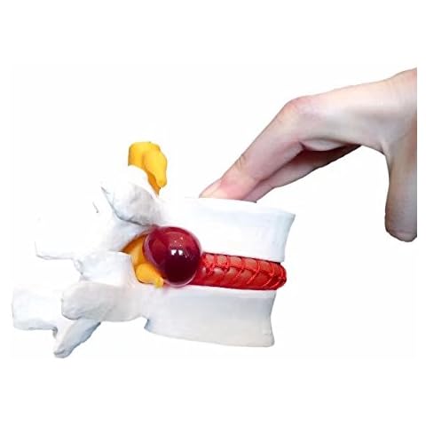 Mike-Dental thumbnail