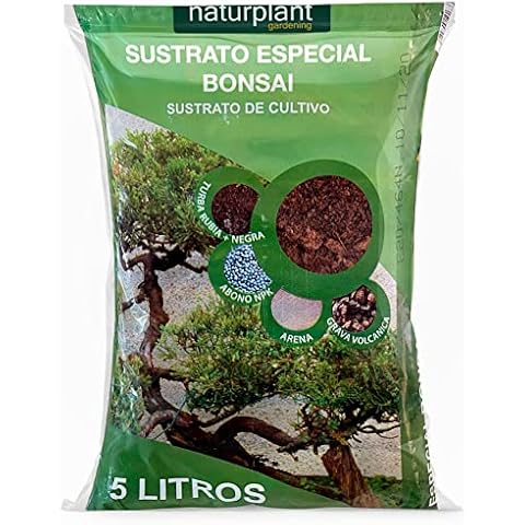 NATURPLANT thumbnail