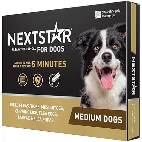 NEXTSTAR thumbnail