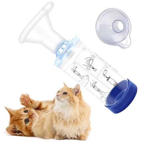 PAWFECTJEE thumbnail