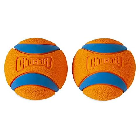 Pelotas de juguete para perros