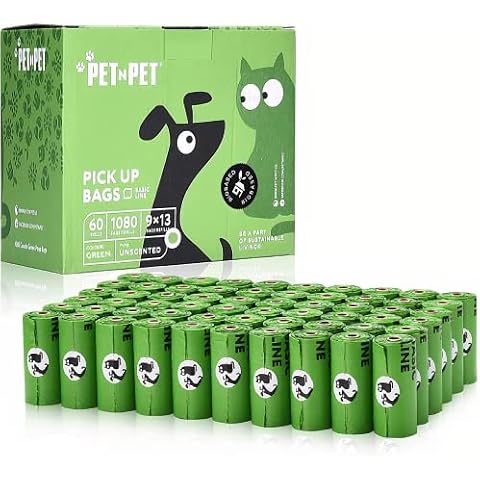 PET N PET thumbnail