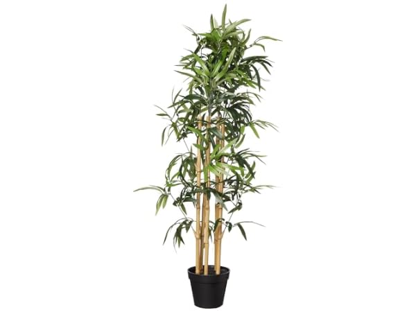 Plantes artificielles Vignette