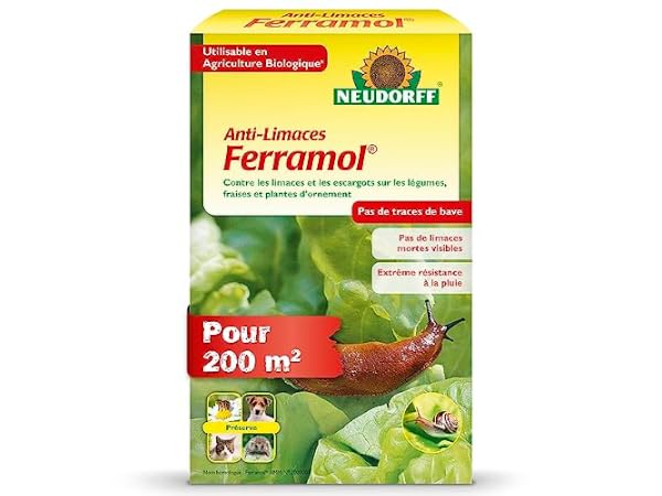 Protection du jardin contre les limaces Vignette