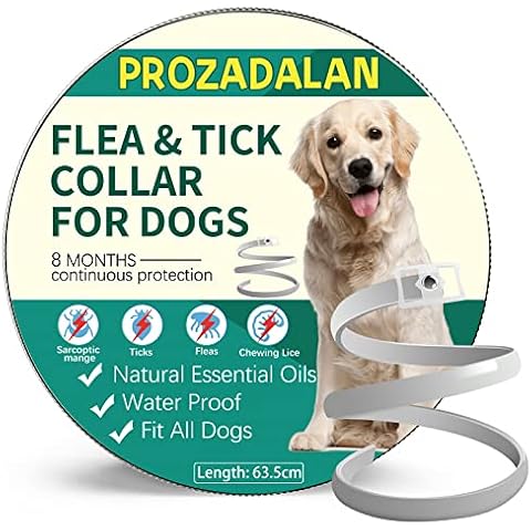 PROZADALAN thumbnail